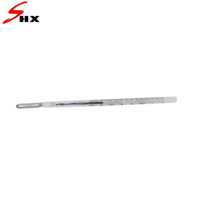 Glass prismatic clinical thermometer